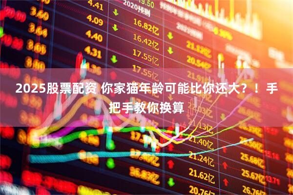 2025股票配资 你家猫年龄可能比你还大？！手把手教你换算