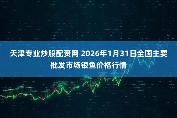 天津专业炒股配资网 2026年1月31日全国主要批发市场银鱼价格行情