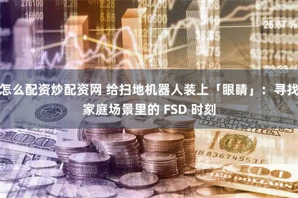 怎么配资炒配资网 给扫地机器人装上「眼睛」：寻找家庭场景里的 FSD 时刻